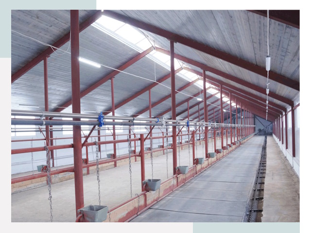 Строительство коровников в Волгограде от 623 руб.