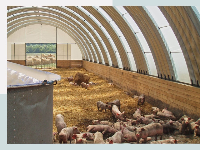 Строительство свинарников в Волгограде