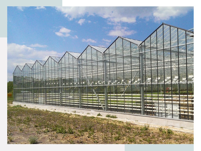 Строительство теплиц в Волгоград от 623 руб. за м²